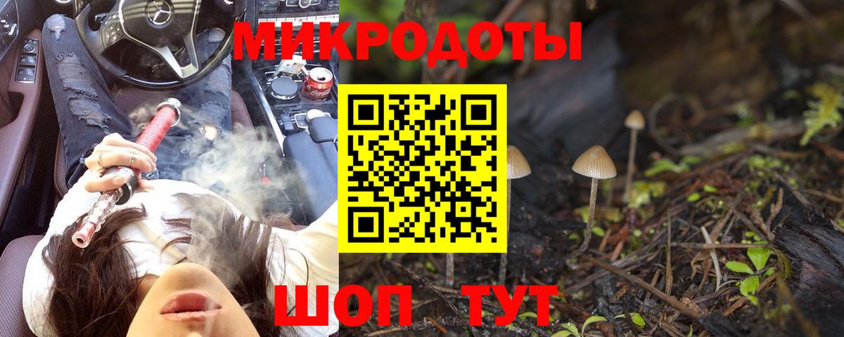 Псилоцибиновые грибы GOLDEN TEACHER  где найти наркотики  Междуреченск  Вход с VPN 