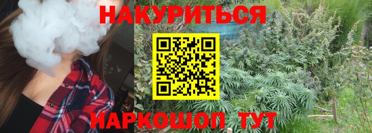 Междуреченск  Каннабис планчик  Вход с VPN  Марихуана план  Шишки марихуана ГИДРОПОН  Марихуана семена 